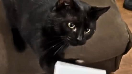 Reprodução / Instagram