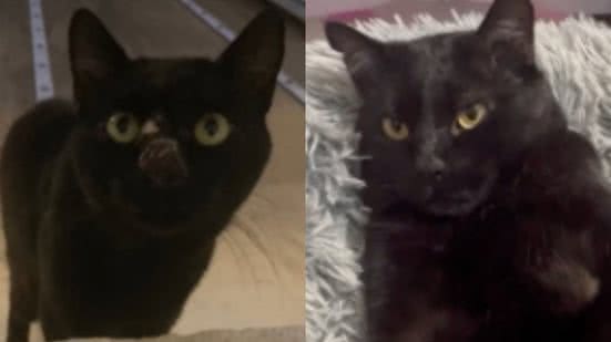 Reprodução / Instagram