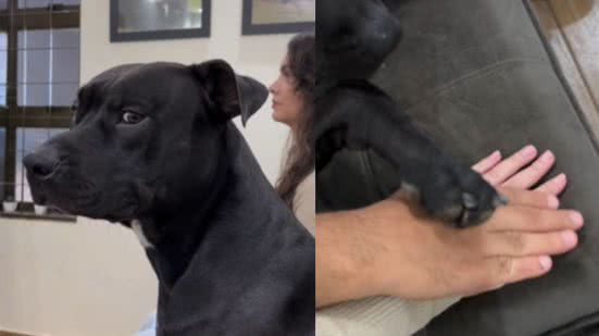 Reprodução / Instagram