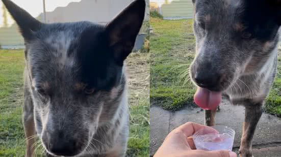 Reprodução / Redes Sociais