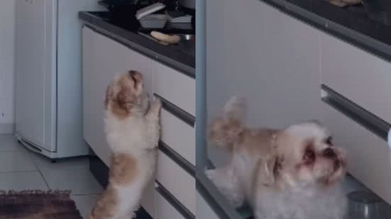 Reprodução / Instagram