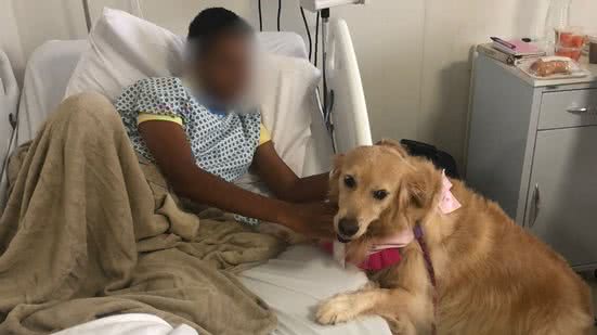 Divulgação/Ascom HOEB