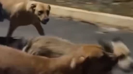 Reprodução / Redes sociais