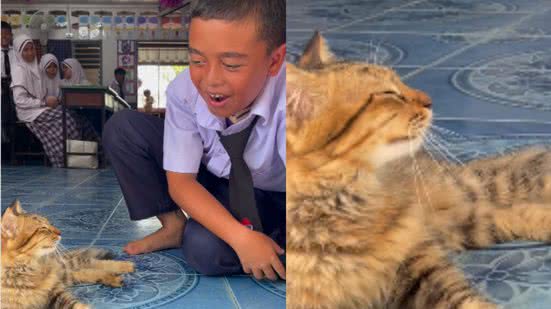 Reprodução / Redes sociais