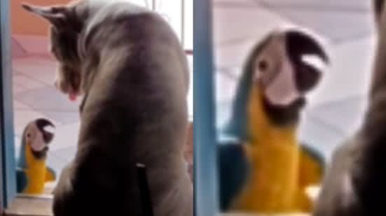 Reprodução / Instagram