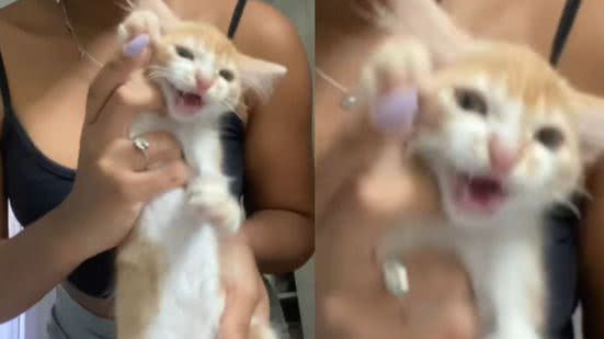 Reprodução / Redes sociais