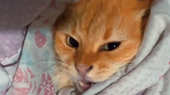 Reprodução / Redes sociais