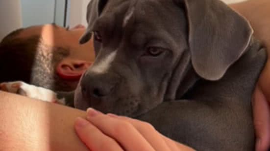 Reprodução / Redes sociais