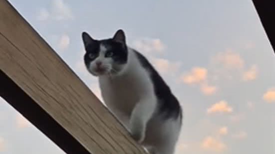 Reprodução / Redes sociais