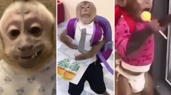 Reprodução / Redes sociais