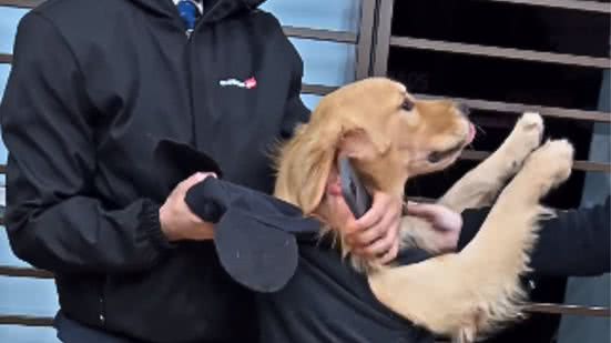 Reprodução / Redes sociais