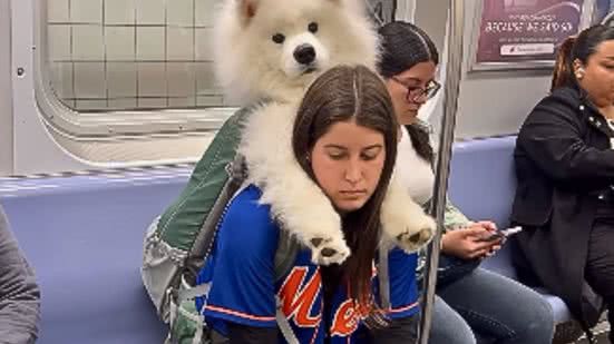 Reprodução / Redes Sociais