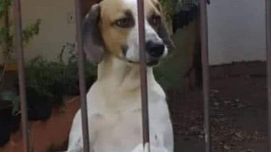 Reprodução / Redes sociais