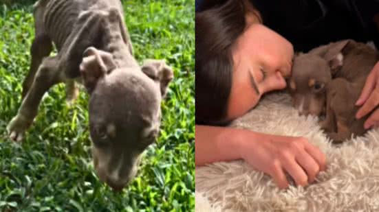 Reprodução / Instagram