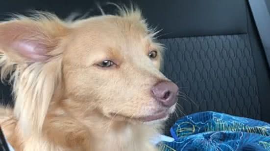 Reprodução / Redes sociais