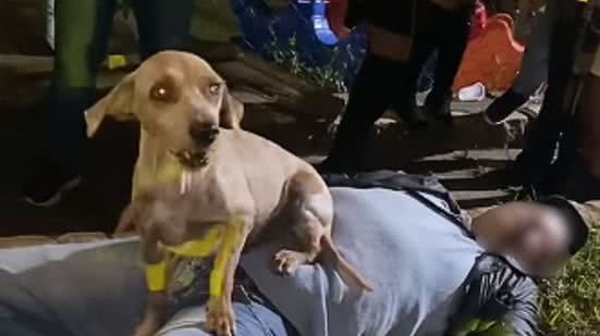 Reprodução / Redes Sociais