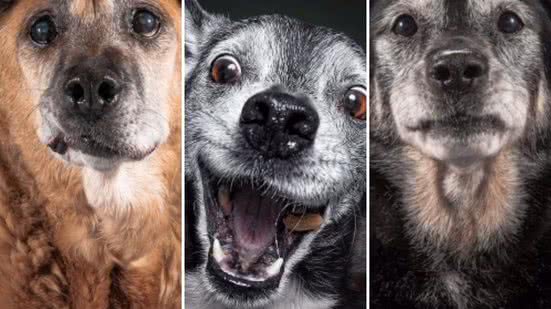 Reprodução / Redes sociais