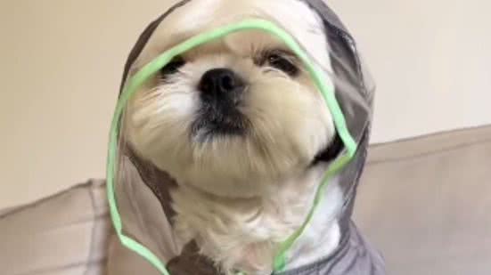 Reprodução / Redes sociais