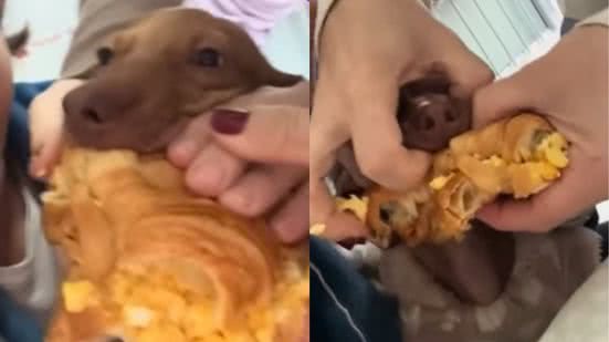 Reprodução / Redes sociais