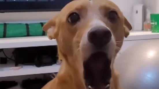 Reprodução / Redes sociais