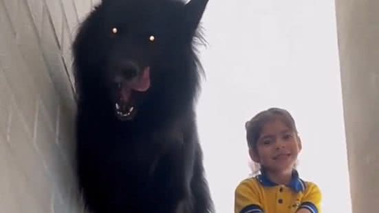 Reprodução / Redes Sociais