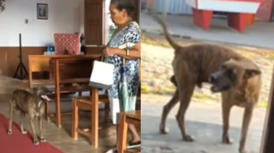 Reprodução / Instagram