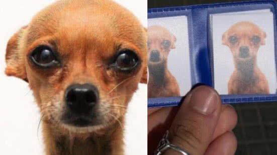 Reprodução / Instagram