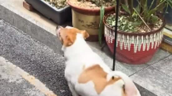 Reprodução / Redes sociais