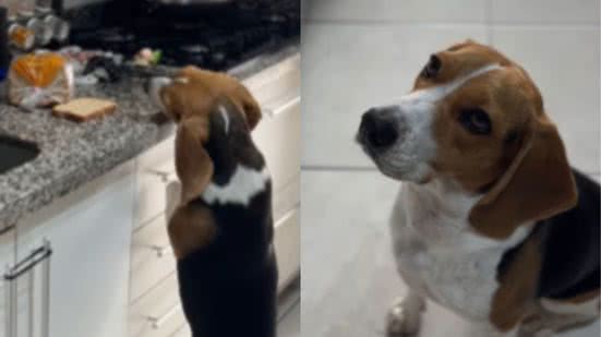 Reprodução / Instagram