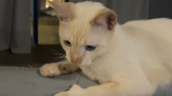 Reprodução / Instagram