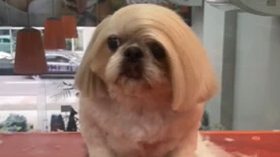 Reprodução / TikTok