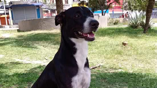 Arquivo pessoal / Lael Senna