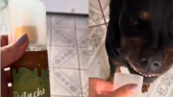 Reprodução / Instagram