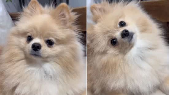 Reprodução / Redes sociais