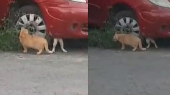 Reprodução / Arquivo Pessoal