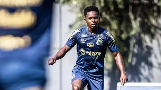 Raul Baretta/ Santos FC