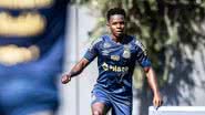 Raul Baretta/ Santos FC