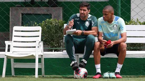 Cesar Greco/Palmeiras