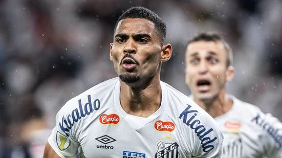 Raul Baretta/ Santos FC