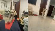 Reprodução / Instagram
