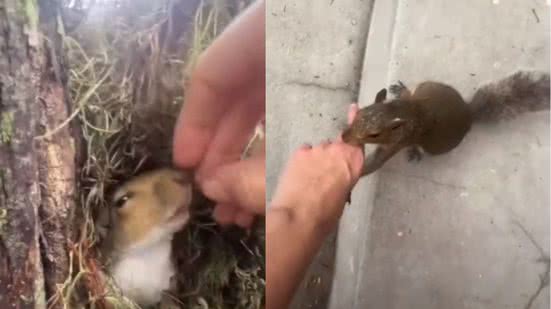 Foto: Reprodução / Clarín