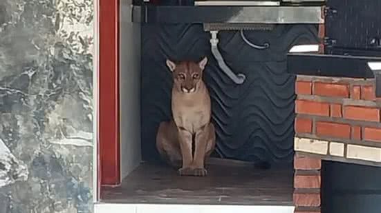 Reprodução/Blog do Anderson