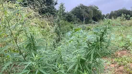 Divulgação/Polícia Militar da Bahia