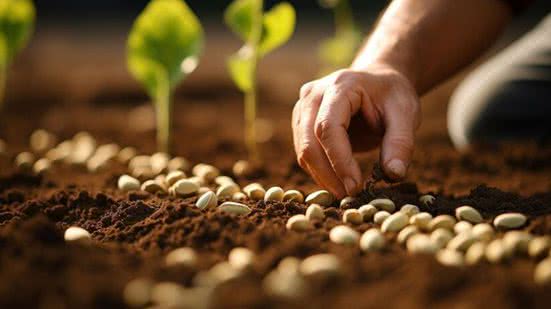 Divulgação / Freepik