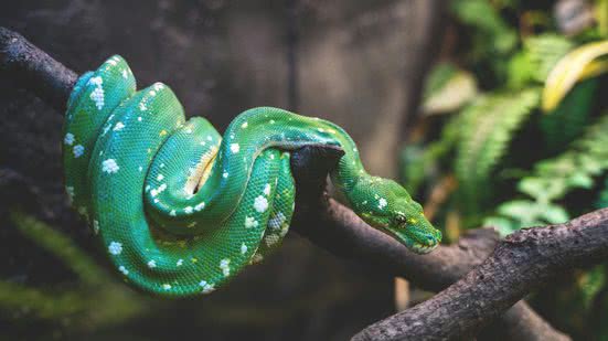 Foto de Tyler B na Unsplash