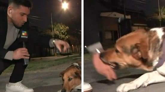 Reprodução Instagram