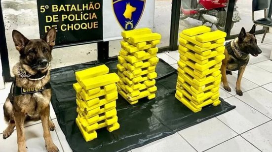 Divulgação/SSP