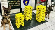 Divulgação/SSP