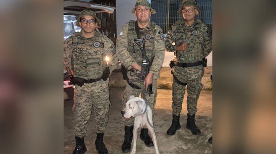 Divulgação/Polícia Militar