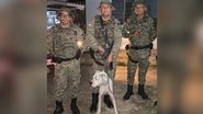 Divulgação/Polícia Militar